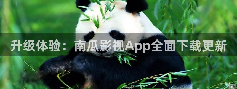 轨道式影院：升级体验：南瓜影视App全面下载更新