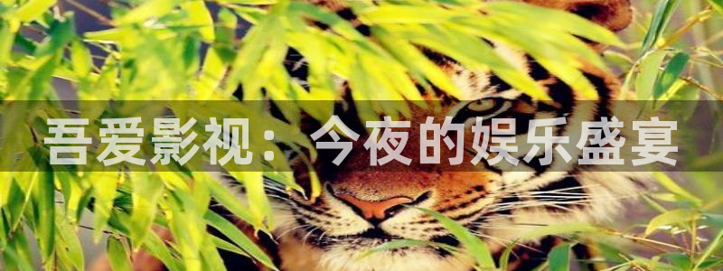 环幕轨道影院