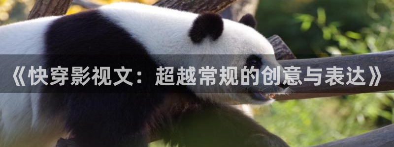 轨道影院妈妈：《快穿影视文：超越常规的创意与表达》