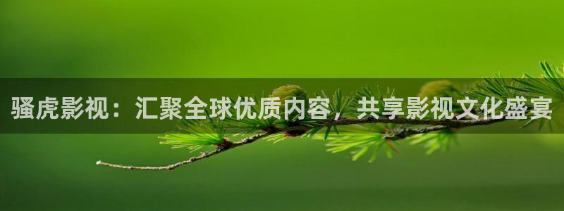 裸眼3d环幕轨道影院：骚虎影视：汇聚全球优质内容，共享影视文化盛宴