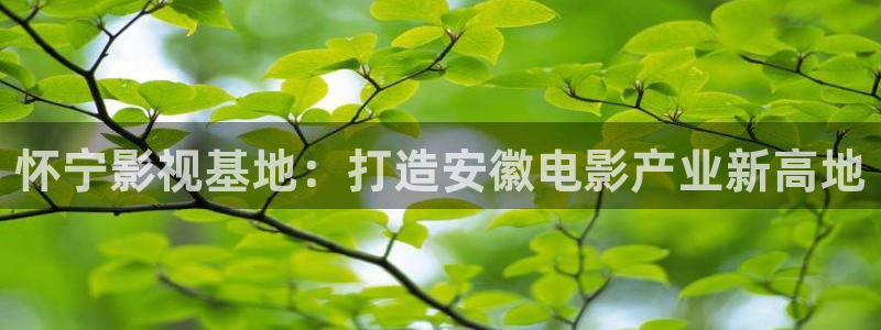 飞行轨道影院：怀宁影视基地：打造安徽电影产业新高地