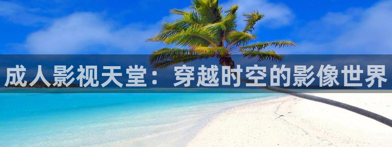 基本轨道电影：成人影视天堂：穿越时空的影像世界